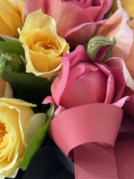 A Pocket of RosesÂ 