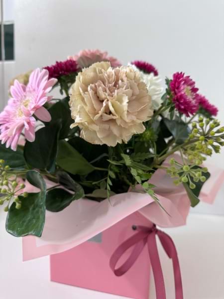 mini mum 