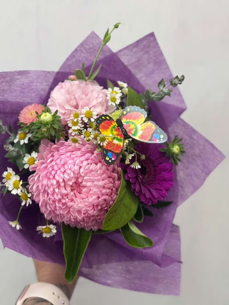 BAMBINO 